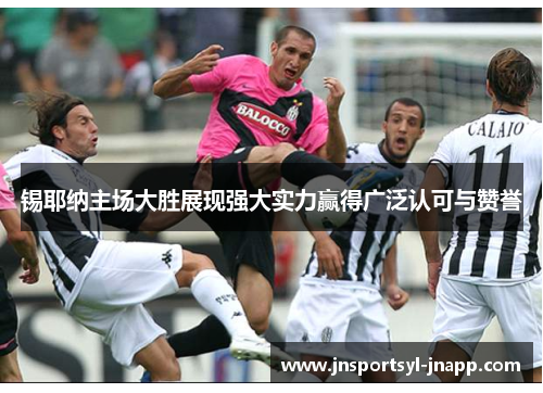 锡耶纳主场大胜展现强大实力赢得广泛认可与赞誉