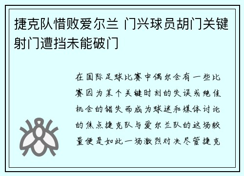 捷克队惜败爱尔兰 门兴球员胡门关键射门遭挡未能破门