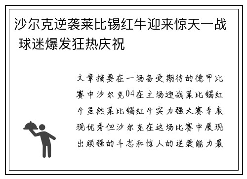 沙尔克逆袭莱比锡红牛迎来惊天一战 球迷爆发狂热庆祝