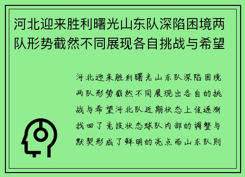 河北迎来胜利曙光山东队深陷困境两队形势截然不同展现各自挑战与希望