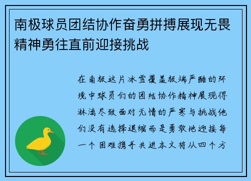 南极球员团结协作奋勇拼搏展现无畏精神勇往直前迎接挑战