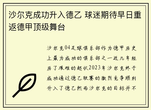 沙尔克成功升入德乙 球迷期待早日重返德甲顶级舞台
